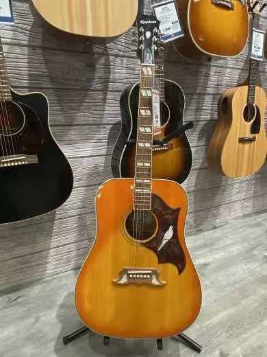 Epiphone - EEDVVBNH